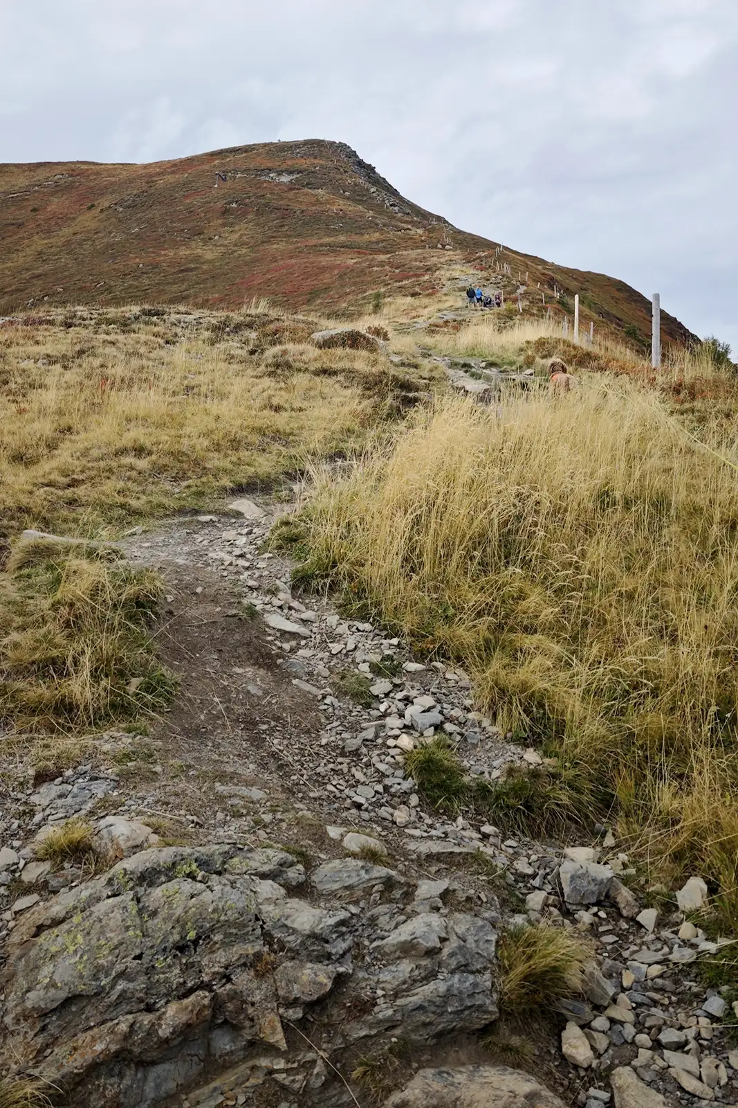 Hohe Penhab Panorama Hike