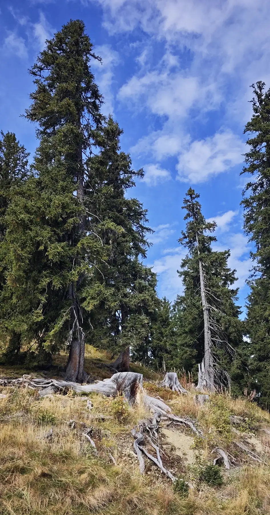 Hohe Penhab Panorama Hike